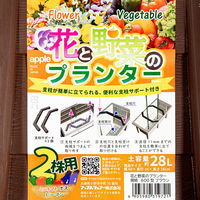 アップルウェアー(園芸) プランター アップルウェアー 花と野菜のプランター 600型 ブラウン 349944 1個（直送品）