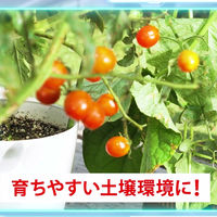 フマキラー カダン感動再生パワー 5L 4902424453560 1袋（直送品）