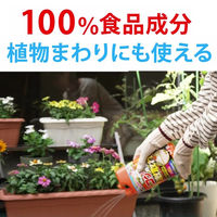 フマキラー コケ激取れ 1L 4902424453294 1本（直送品）