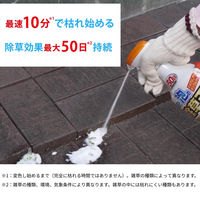 フマキラー 泡の除草王 1000ml 4902424453553 1本（直送品）