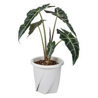 大和プラスチック 根はりポット 15型 4903266731748 1個（直送品）