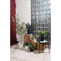 大和プラスチック 根はりポット 15型 4903266731762 1個（直送品）