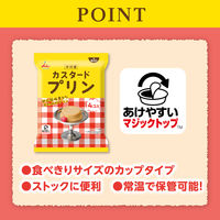 プリン カップ　食べきりサイズ　お配り菓子 カスタードプリン 58g×4個入 1セット（1袋×5）