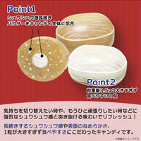 ソフトキャンディ 強炭酸シュワキャンディ 75g 1セット（1個×16）