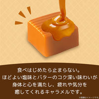キャラメル 個包装 お配り菓子 塩キャラメル 12粒 1セット（1個×10）