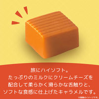 キャラメル 個包装 お配り菓子 ハイソフト　ミルク　12粒 1セット（1個×10）