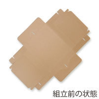 シモジマ 食品箱 NFネオクラフト キャリーピザBOX 9インチ用 004248328 1セット(1袋(10個入)×10)（直送品）