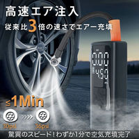 ディーエーピーネットワーク LEDライト付 電動エアーポンプ 車 自転車 ボール対応 monowa069_BK 1S(1S)（直送品）