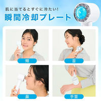 ディーエーピーネットワーク ハンディファン 冷却プレート ー12°C瞬間冷却 ホワイト wasser fan010 1個（直送品）