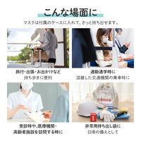 MSソリューションズ トラベルセット マスク(個包装マスク5枚+マスクケース) PL-MST03TRVL02 1個（直送品）