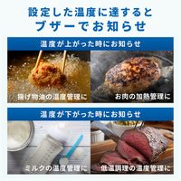 エー・アンド・デイ 防水形大型液晶中心温度計 AD-5629 1台