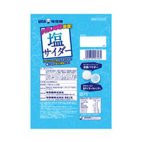 暑さ対策 塩分補給 塩分対策  塩サイダー 66g 1セット（1個×12）
