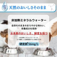 ペットの天然水 犬猫用 Vウォーター 国産 2L 1本 アース・ペット
