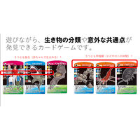 くもん出版 考える生きもの分類カードゲーム TS-10 1個