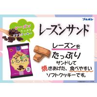 レーズンサンド 6個 ブルボン おつまみ せんべい あられ