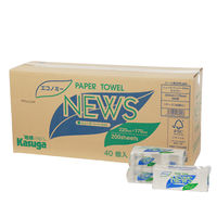 春日製紙工業 ニューズペーパータオルエコノミー(小判サイズ)200枚 520014 1セット(40パック)