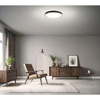 アイリスオーヤマ シーリングライト 14畳 調光調色 ウッドフレーム CEA14DL-7.0WFM 1台（直送品）