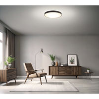 アイリスオーヤマ シーリングライト 12畳 調光調色 ウッドフレーム CEA12DL-7.0WFM 1台（直送品）