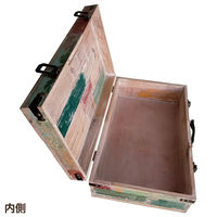 Habiter(アビテ) トランクボックス L ANE-602-AA 1個（直送品）