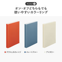 リヒトラブ Mutual クリヤーブック A4 60P ファイル 厚口ポケット スレートブルー N2402-11 1冊（直送品）