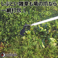 大進 草取りレーキ龍の爪 草刈り 草削り 道具 草取り 立ったまま DG-01R6 1本（直送品）