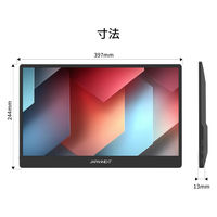 JAPANNEXT 17.3インチ 4Kワイド モバイルディスプレイ JN-MD-IPS173U 1台（直送品）