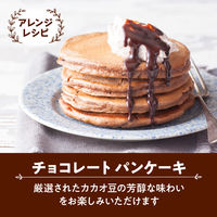 片岡物産 バンホーテン チョコレートシロップ 1個（630g）