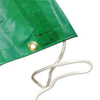 グリーンクロス トラックシート 4.8×3.0m 2tロング適合 H-20 1枚（直送品）