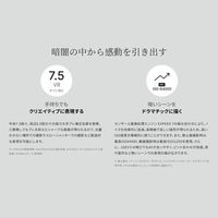 ニコン ミラーレス一眼 Z5II 24-105 レンズキット Z5 2LK24-105 1個 Z52LK24-105（直送品）