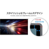 JAPANNEXT 21.5インチ 液晶ディスプレイ JN-215V120F 1台（直送品）