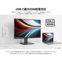 JAPANNEXT 31.5インチ ワイド4K液晶ディスプレイ JN-IPS315U-HSPC6 1台（直送品）