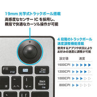 ナカバヤシ 無線 トラックボール搭載キーボード シルバー FKB-R252SL 1個（直送品）