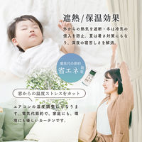 サンローズ 4枚組 カーテン レースカーテンセット レイトン 1000×1780mm グリーン 1セット(4枚入)（直送品）