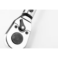 SATA Tools トルクレンチ(20-100Nm) 96311 1本（直送品）