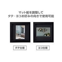 ハクバ写真産業 SQ額 テトラ L2面 ブラック FSQTT-BKL2 1個 64-8898-50（直送品）
