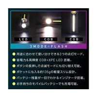 Trimate 充電式 LEDワークライト ハンドライト ランタン 底面マグネット フック付き TR-WL010 1個 67-4921-77（直送品）