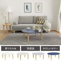 タマリビング スモーキー 折り畳みテーブル スモーキー 丸 幅800×奥行800×高さ330mm ホワイト 1台（直送品）