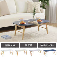 タマリビング スモーキー 折り畳みテーブル 幅900×奥行500×高さ330mm 瑠璃 1台（直送品）