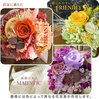 大河商事 透明感あふれるプリザーブドフラワー シャンテピンク bon030_pk 1個（直送品）