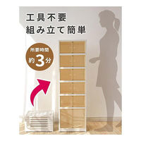大河商事 シューズボックス クリア Lサイズ 9段 折り畳み式 monowa061_L 1台（直送品）