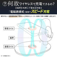 大河商事 ヒーリングLEDライト 鳥型 Qi充電対応 ホワイト wasser63_wh 1個（直送品）