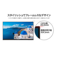 JAPANNEXT 21.5インチ 液晶ディスプレイ JN-I215F2-HSP 1台（直送品）