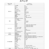 JAPANNEXT 55インチ ワイド 4K液晶ディスプレイ JN-V55U-M 1台（直送品）