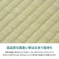 萩原 国産い草カーペット 天草 団地間6帖 159067660 1枚（直送品）