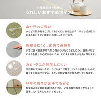 萩原 洗えるい草風カーペット 四条 江戸間6帖 159068860 1セット(2個入)（直送品）