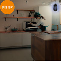 大進 ムシコロ 電撃殺虫器 DS-054LED 1台（直送品）