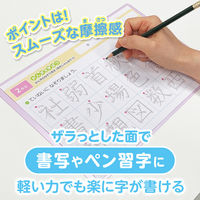 共栄プラスチック 軟質 下敷き 透明カラーのしっかりシタ字キ A4 グレープ TCS-A4-GR 1セット(1枚×2)（直送品）