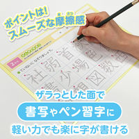 共栄プラスチック 軟質 下敷き 透明カラーのしっかりシタ字キ A4 パイン TCS-A4-PI 1セット(1枚×2)（直送品）