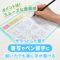 共栄プラスチック 軟質 下敷き 透明カラーのしっかりシタ字キ A4 青りんご TCS-A4-AO 1セット(1枚×2)（直送品）