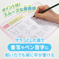 共栄プラスチック 軟質 下敷き 透明カラーのしっかりシタ字キ A4 さくらんぼ TCS-A4-CH 1セット(1枚×2)（直送品）